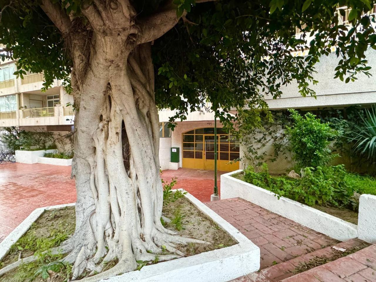 Apartsalou Lea Exterior foto